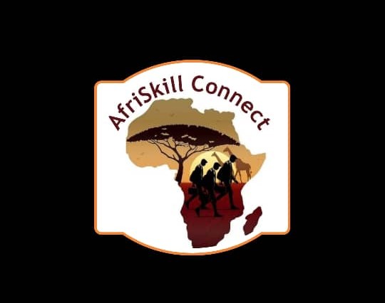 AFRISKILL CONNECT AGENCY