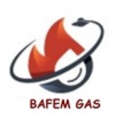 BAFEM BTJ OIL AND GAS INTERNATIONAL LTD