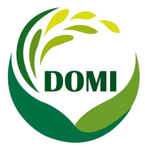DOMI
