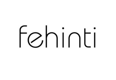 Fehinti and Logo
