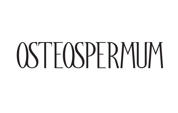 OSTEOSPERMUM